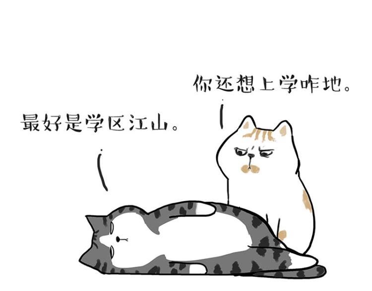 第291话 好兄弟，一辈子21