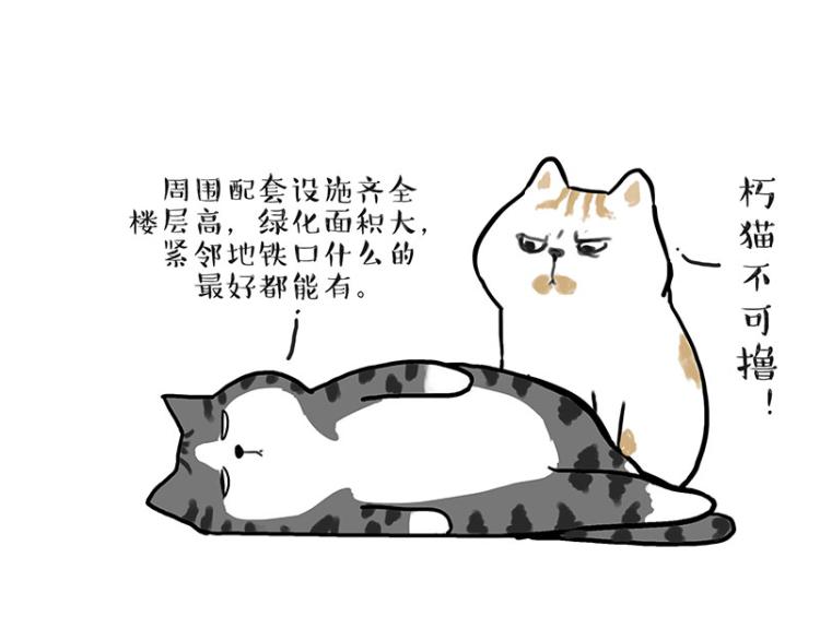 第291话 好兄弟，一辈子23