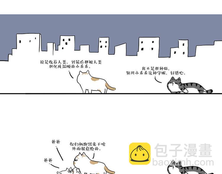 第291话 好兄弟，一辈子24