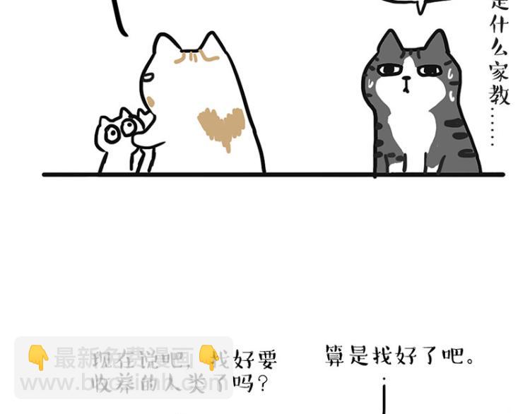 第291话 好兄弟，一辈子29