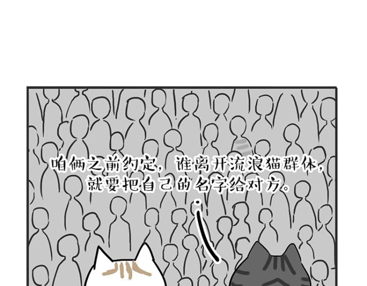第291话 好兄弟，一辈子35