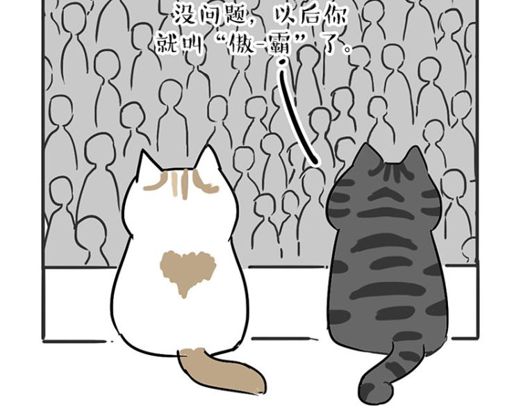 第291话 好兄弟，一辈子37