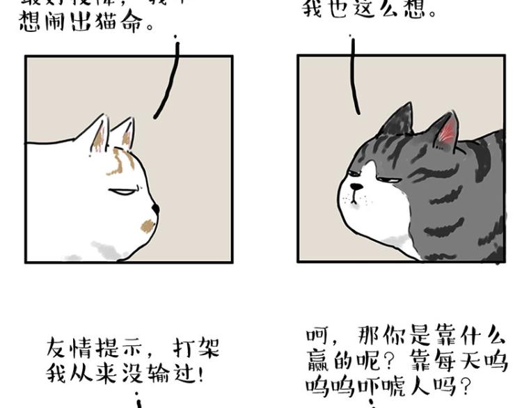 第291话 好兄弟，一辈子6