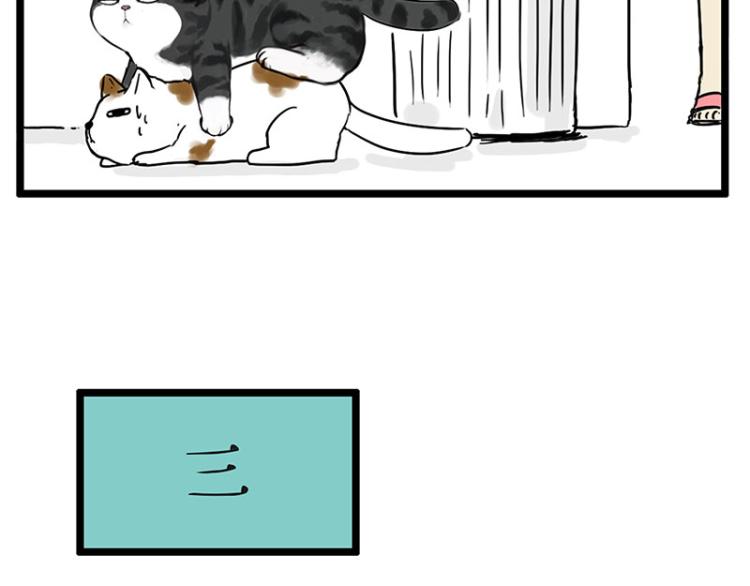 第291话 好兄弟，一辈子65