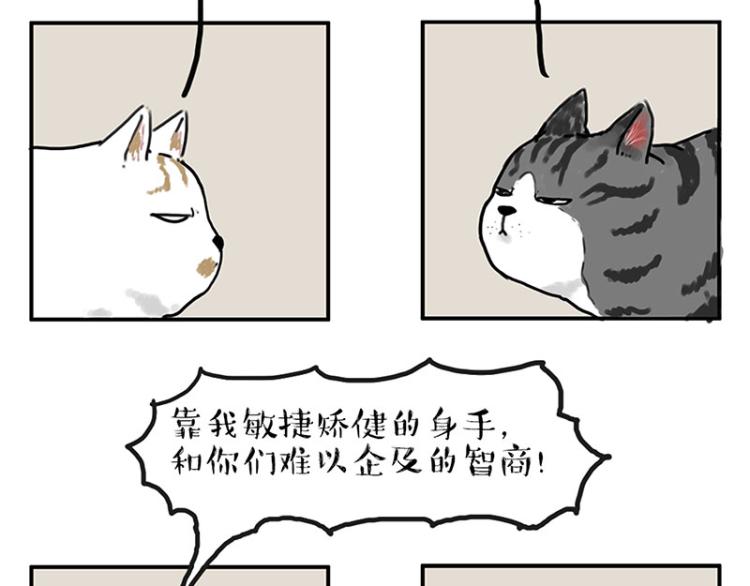 第291话 好兄弟，一辈子7