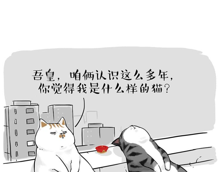 第291话 好兄弟，一辈子71