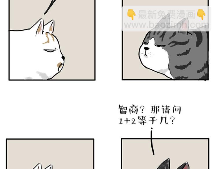第291话 好兄弟，一辈子8