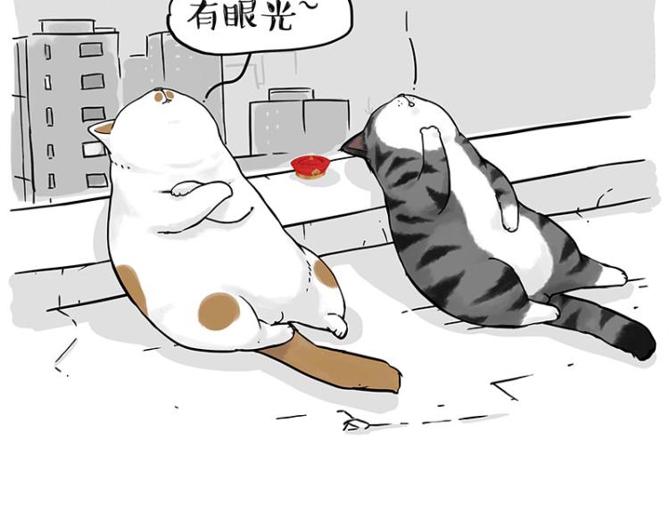 第291话 好兄弟，一辈子84