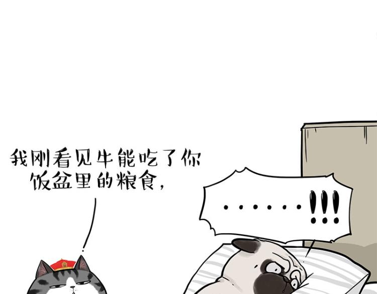 第292话 吐槽拯救世界43