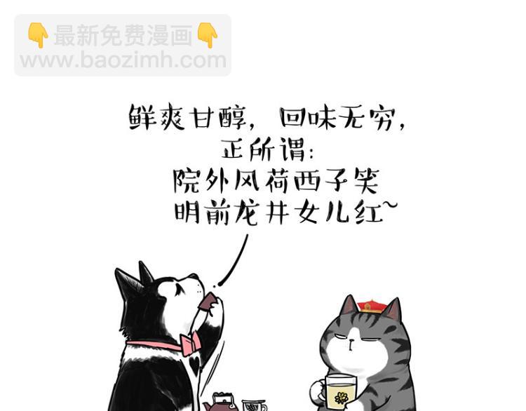 第292话 吐槽拯救世界64