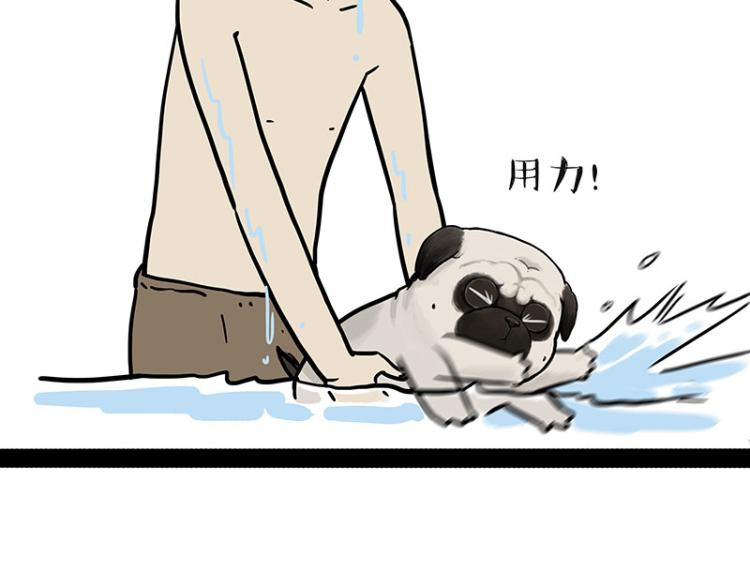 第294话 教狗游泳难度爆棚17
