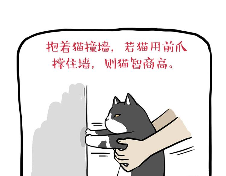 第294话 教狗游泳难度爆棚25