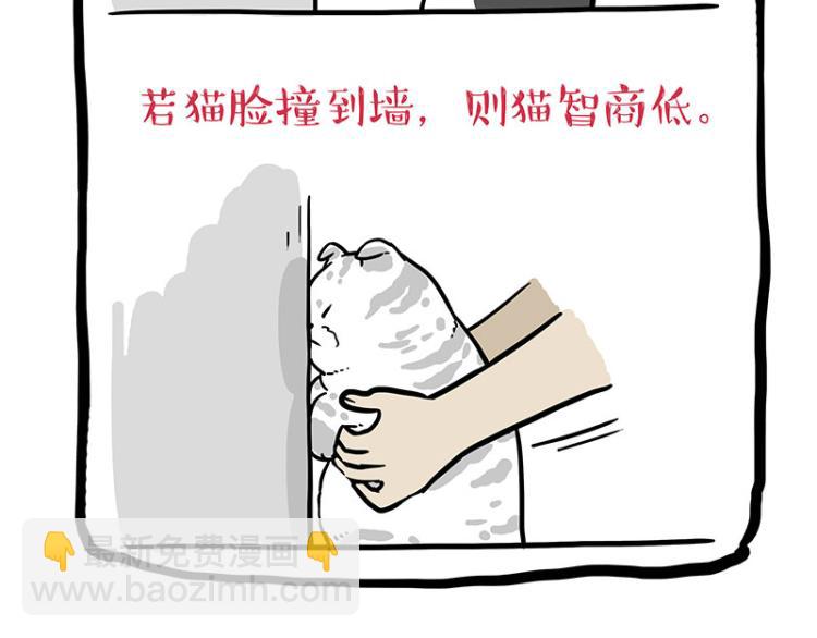 第294话 教狗游泳难度爆棚26