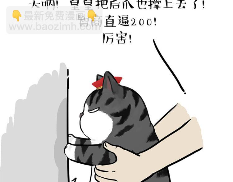 第294话 教狗游泳难度爆棚34