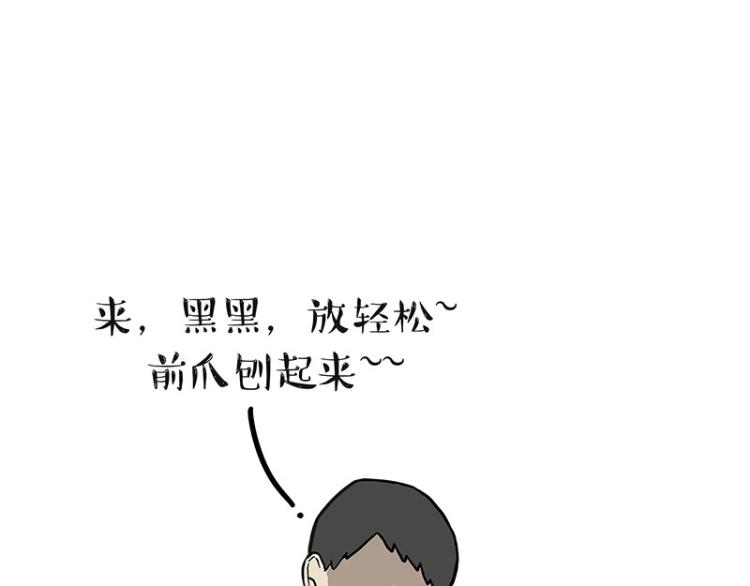 第294话 教狗游泳难度爆棚4