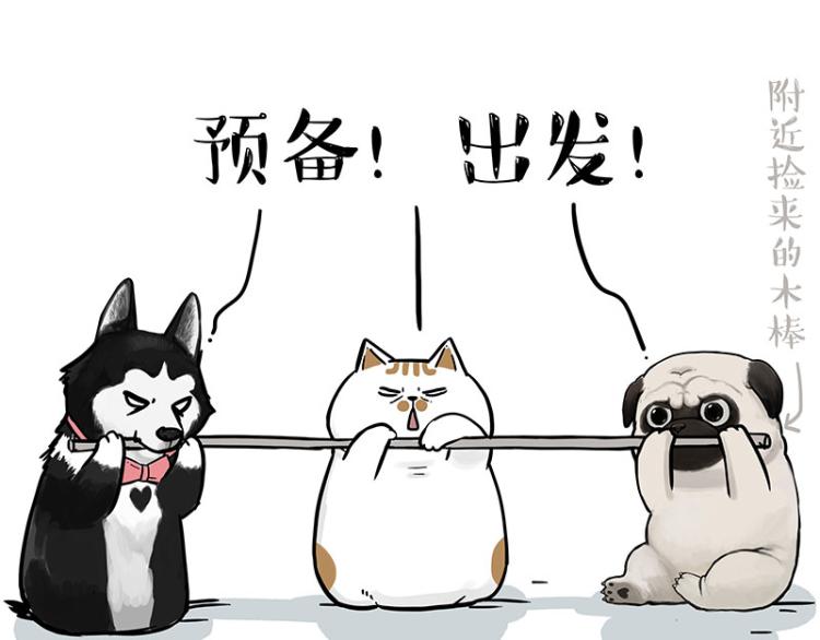 第294话 教狗游泳难度爆棚46