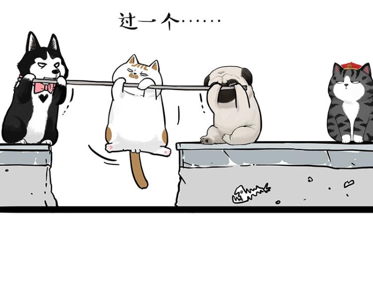 第294话 教狗游泳难度爆棚53