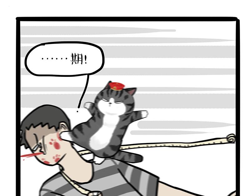 第296话 披着虎皮的猫25