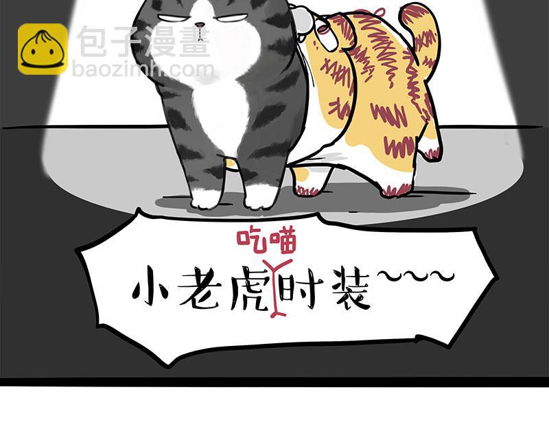 第296话 披着虎皮的猫8