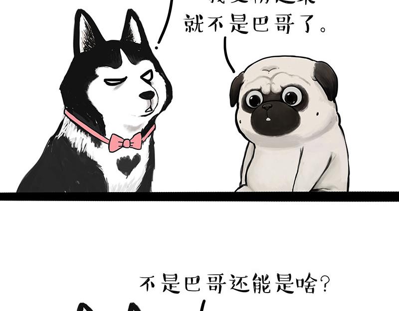 第297话 无处不在拦路猫11