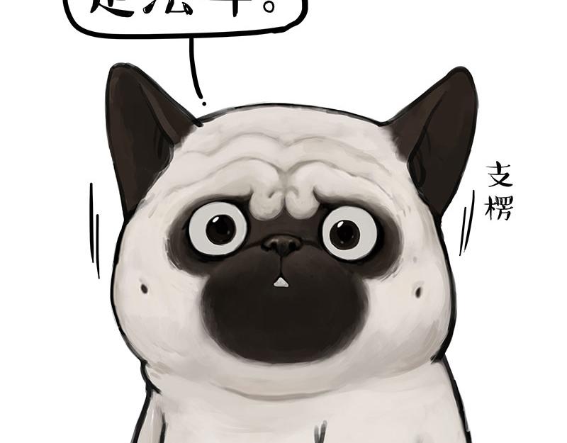 第297话 无处不在拦路猫13