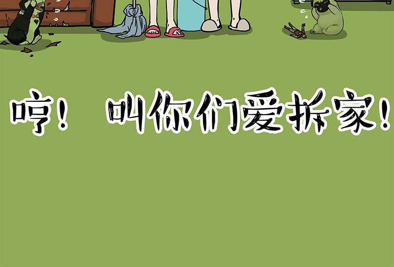 第297话 无处不在拦路猫28
