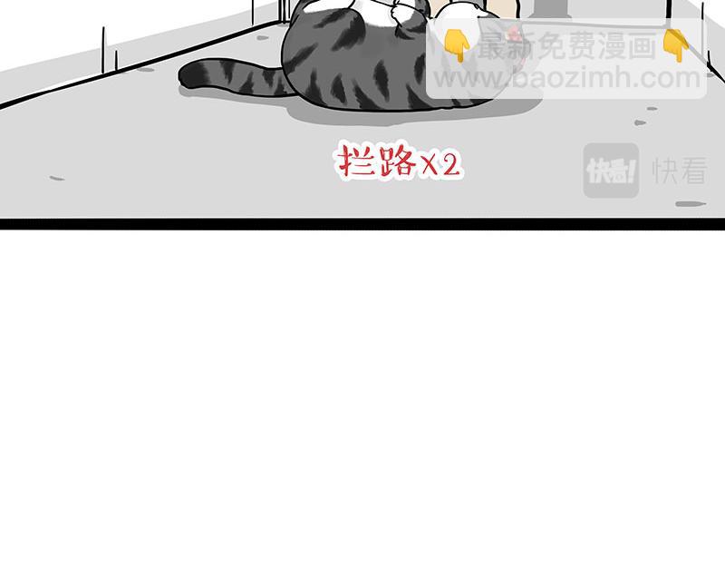 第297话 无处不在拦路猫4