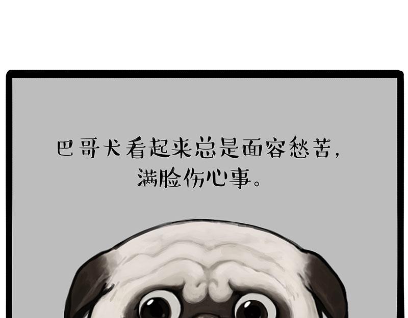 第297话 无处不在拦路猫8