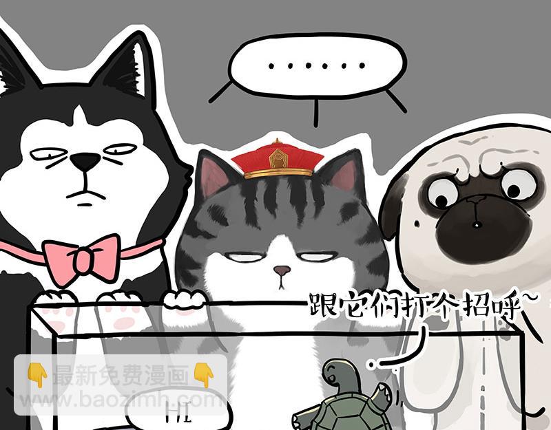第298话 龟与狗与世界10