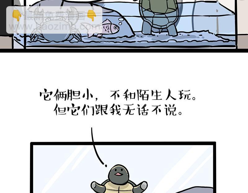 第298话 龟与狗与世界11