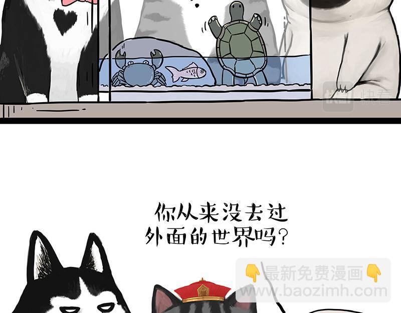 第298话 龟与狗与世界15