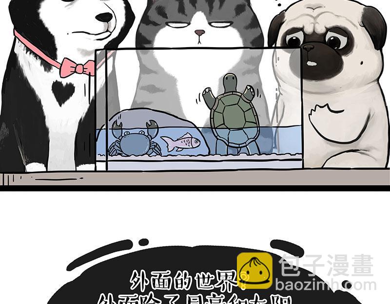 第298话 龟与狗与世界16