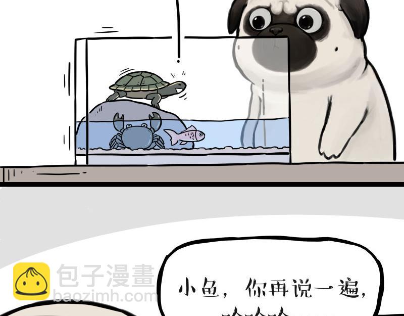第298话 龟与狗与世界23