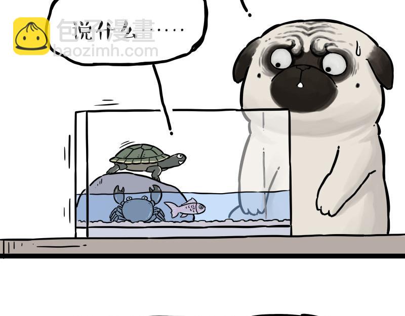 第298话 龟与狗与世界28