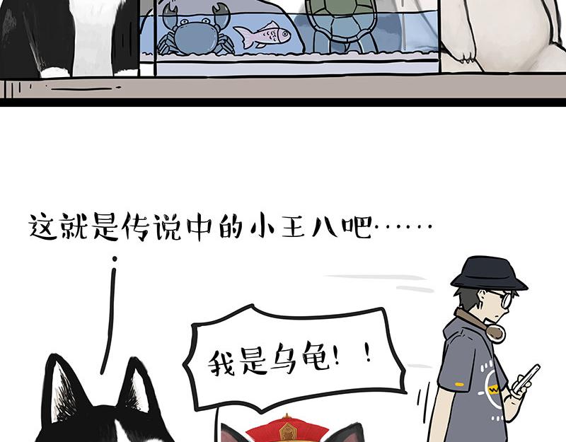 第298话 龟与狗与世界4