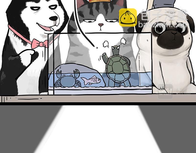 第298话 龟与狗与世界5