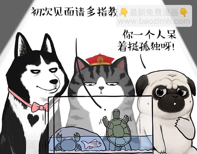 第298话 龟与狗与世界6