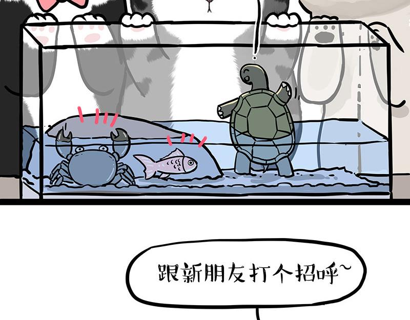 第299话 真假虚实10