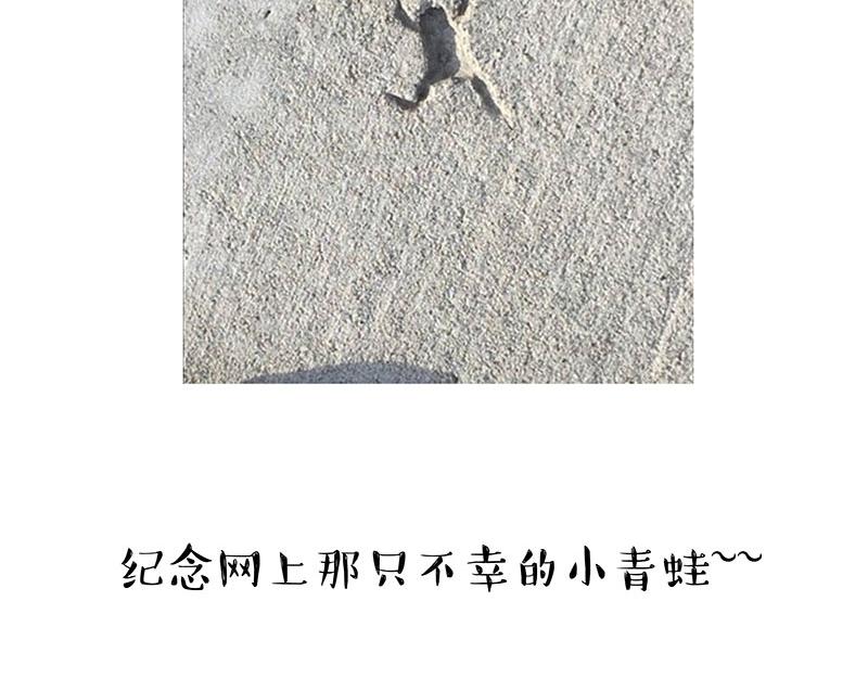 第299话 真假虚实111