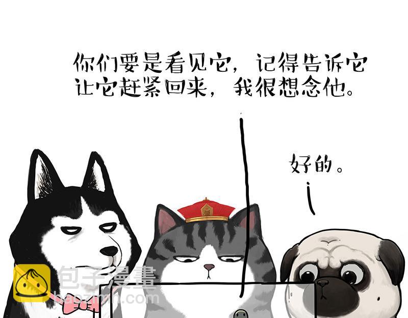 第299话 真假虚实15