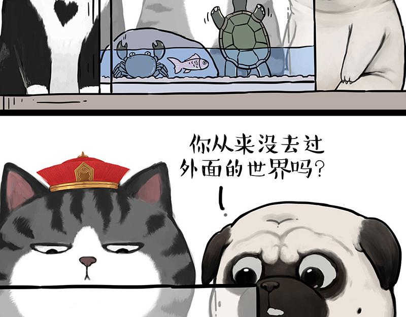 第299话 真假虚实16