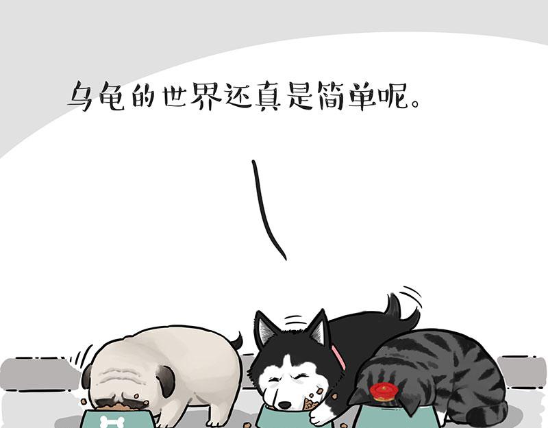 第299话 真假虚实19
