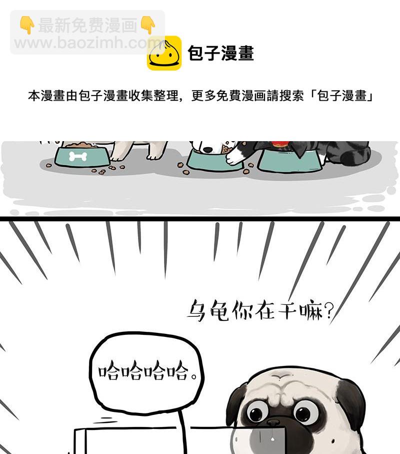 第299话 真假虚实21