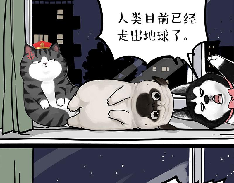 第299话 真假虚实38