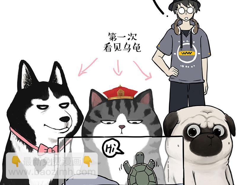 第299话 真假虚实4