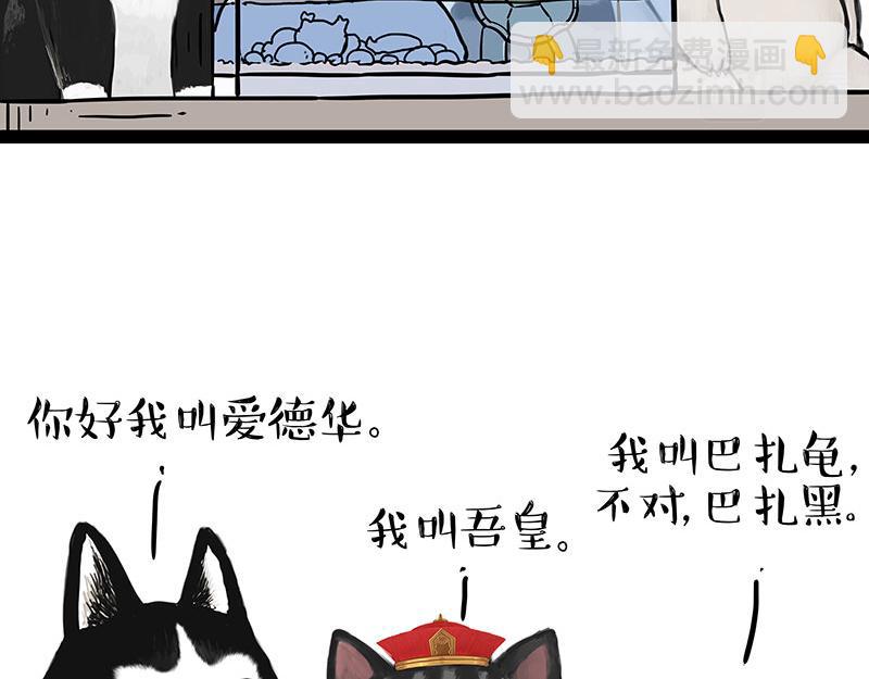 第299话 真假虚实5
