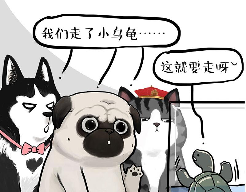 第299话 真假虚实56