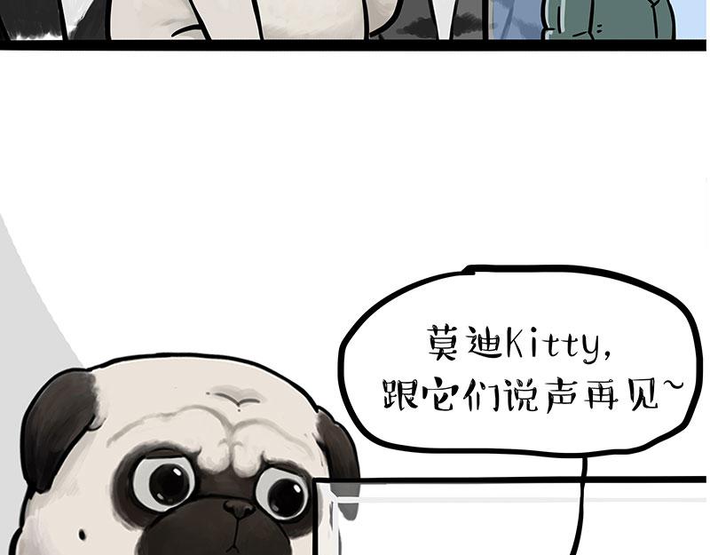 第299话 真假虚实57