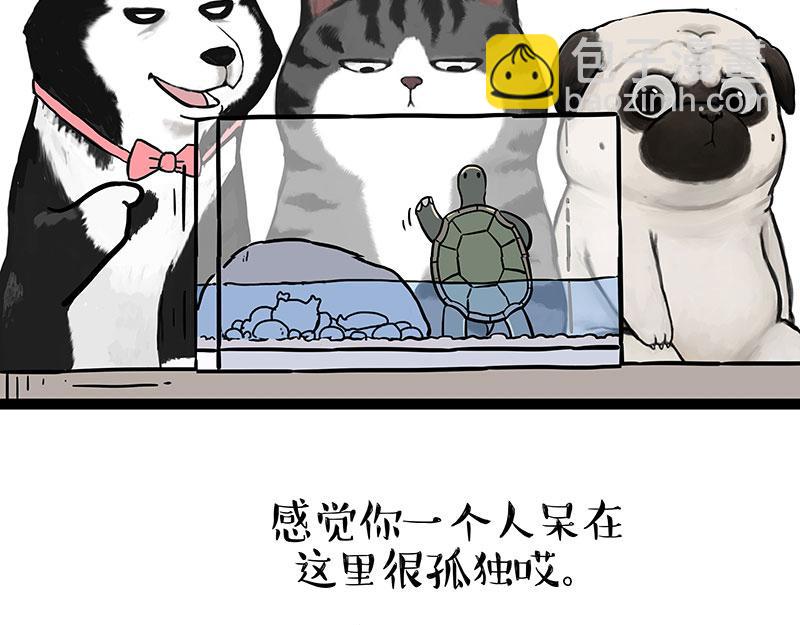 第299话 真假虚实6
