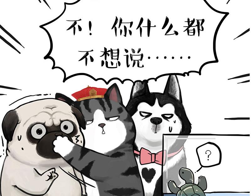 第299话 真假虚实60